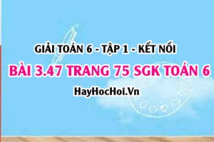 Giải bài 3.47 trang 75 Toán 6 Tập 1 SGK Kết nối tri thức
